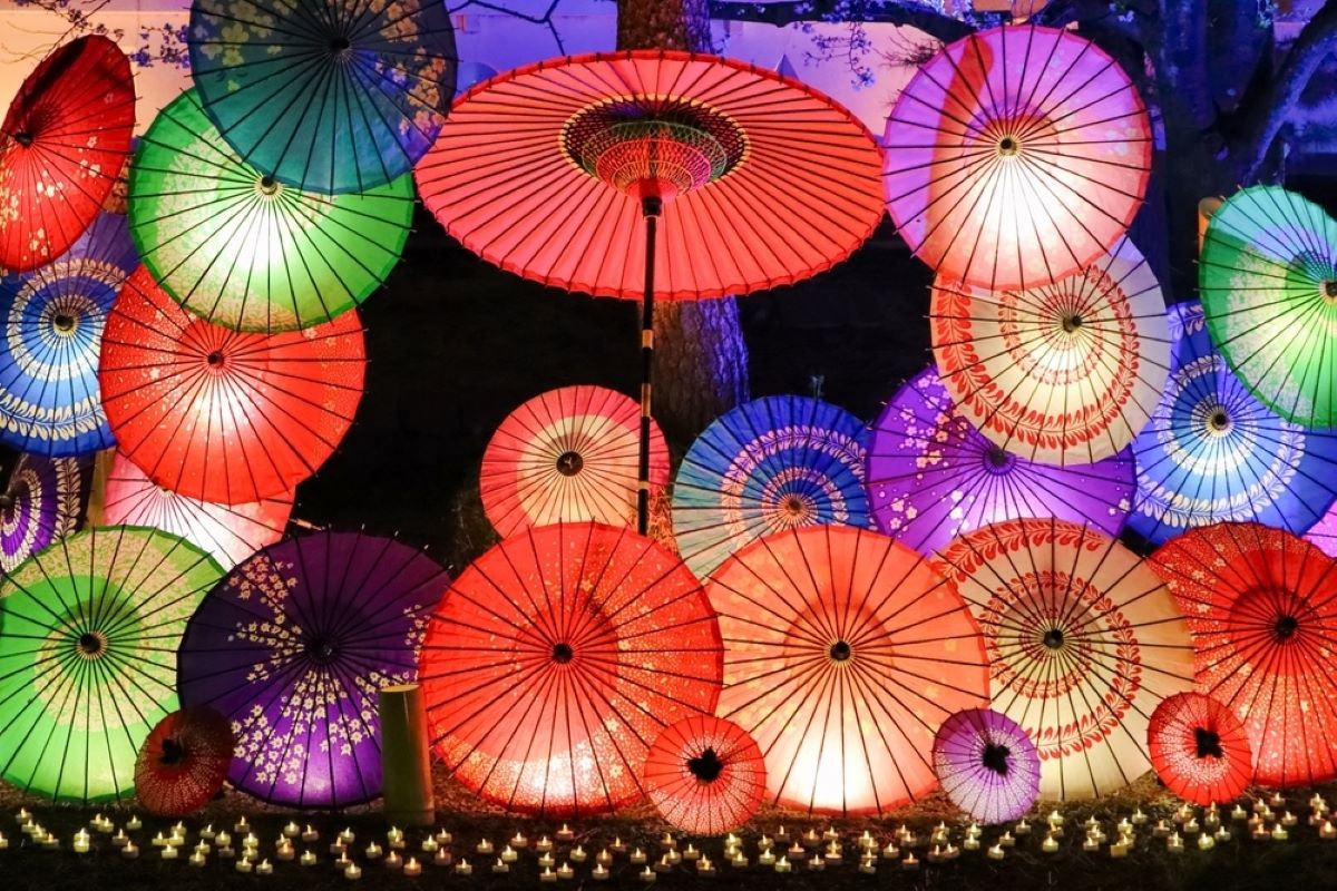 ショーの体験３